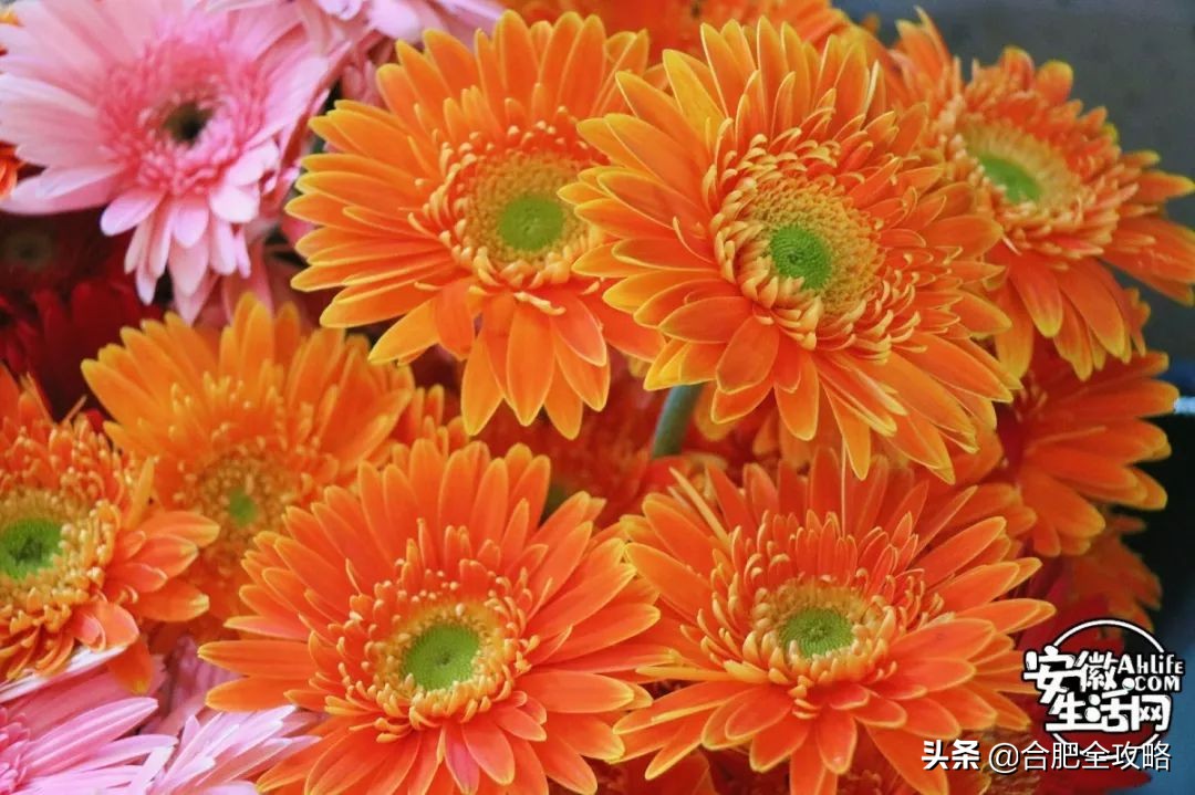 老周谷堆水果批发市场,老周谷堆古玩市场