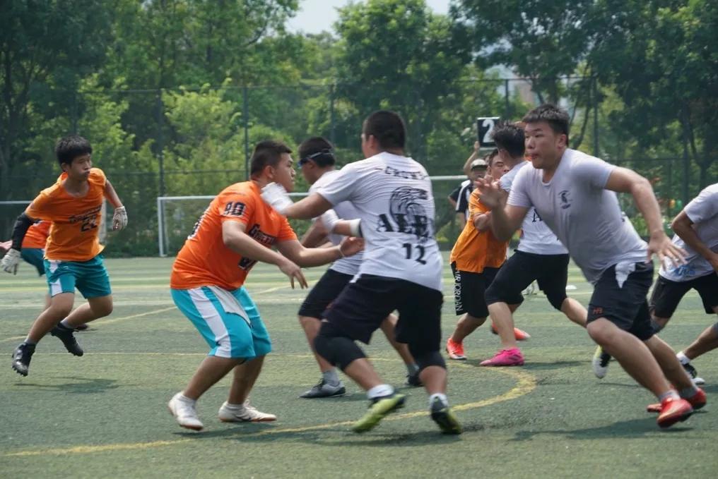 冠军之路|冠军已成GOCROWS