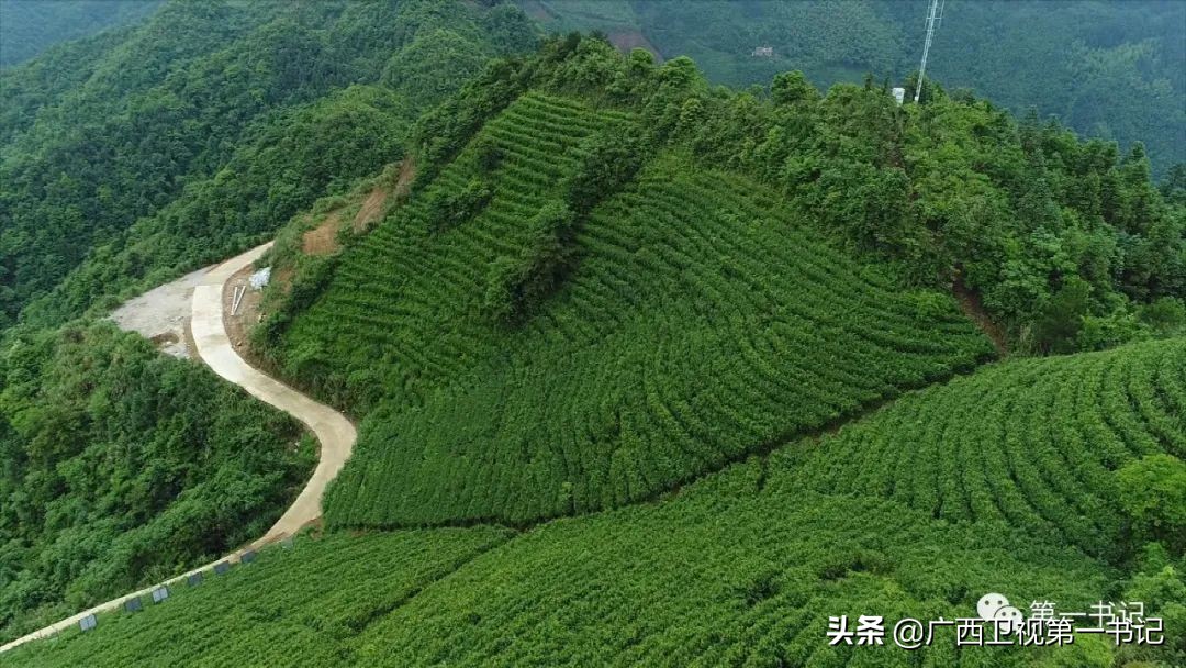 骞胯タ璐哄窞灞遍噷楗,璐靛窞闈犲北鍚冨北鏈夋柊鍚冩硶