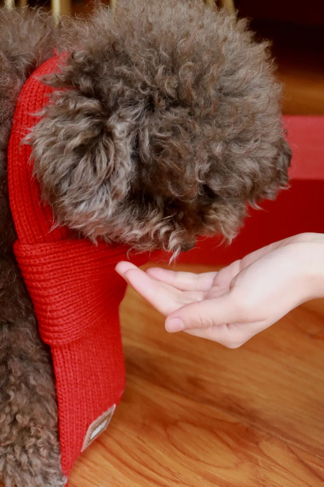 你的专属好物分享,你爱的好物分享