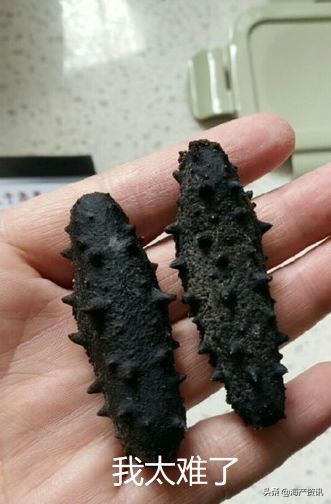 加拿大海参开袋即食,加拿大海参专卖店