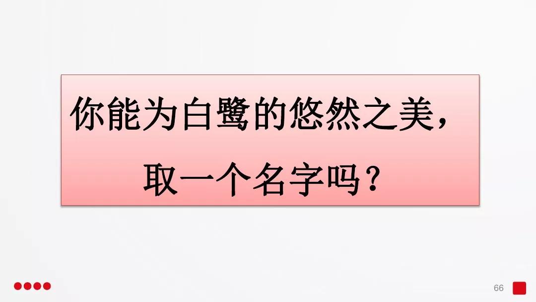 五年级部编版语文白鹭讲课视频,部编小学语文五年级上册白鹭课件