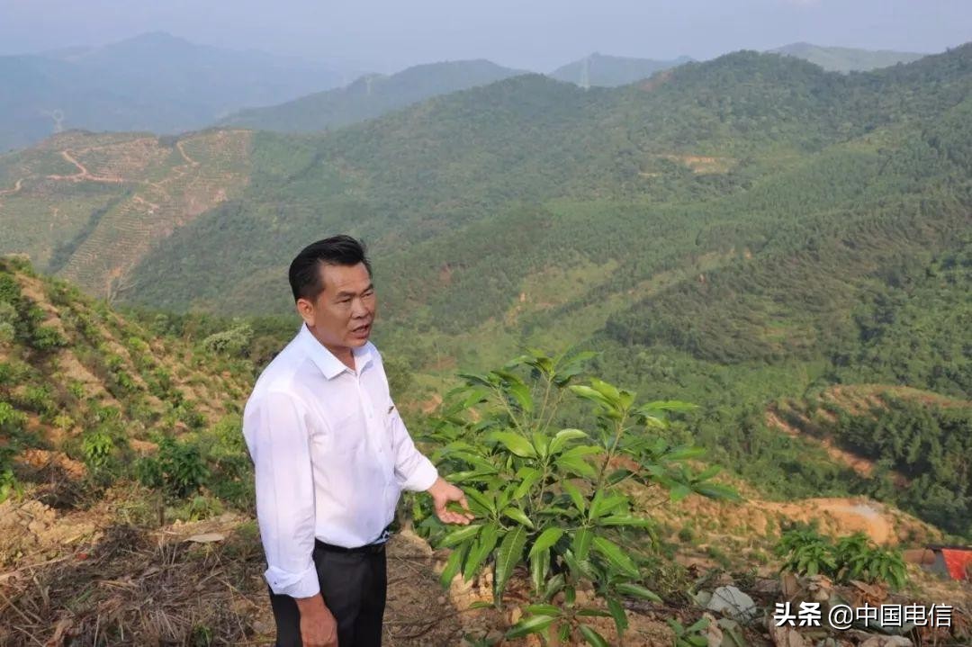 姬松茸撑起“致富伞”，特色产业种出新希望