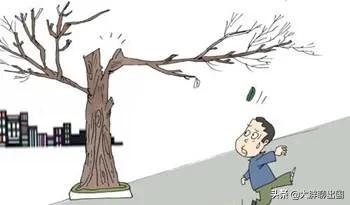 出国异国他乡,想在国外打工需要什么条件