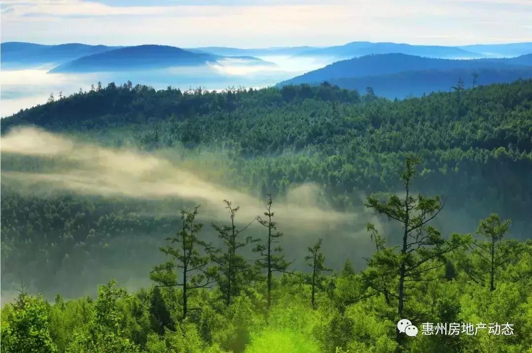 惠州大湾区星河丹堤,惠州大亚湾星河丹堤大平层