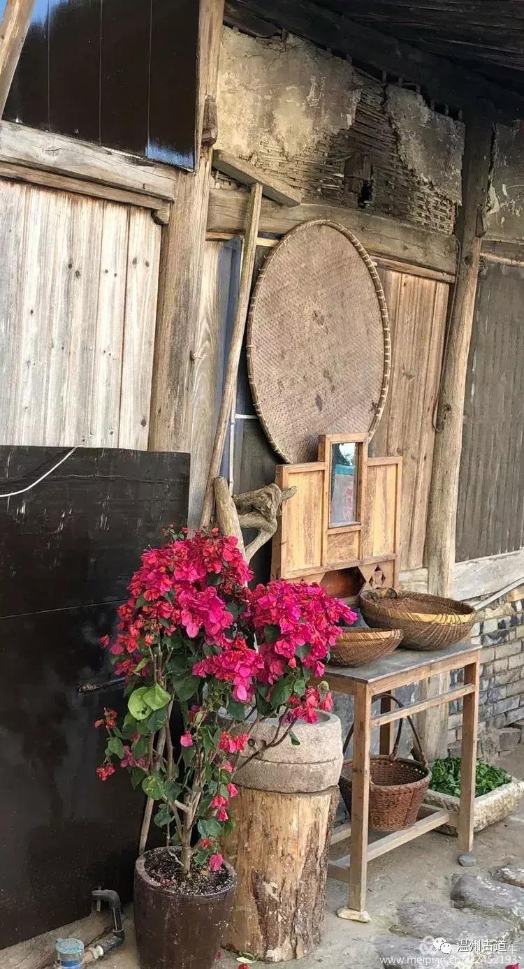 岩坦镇网红打卡点,岩坦镇景点