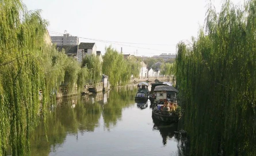 据说世道变坏是从倒卖青团开始的