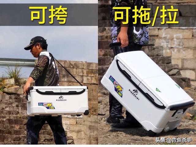 选择钓箱好还是钓椅好,钓箱钓椅如何选择