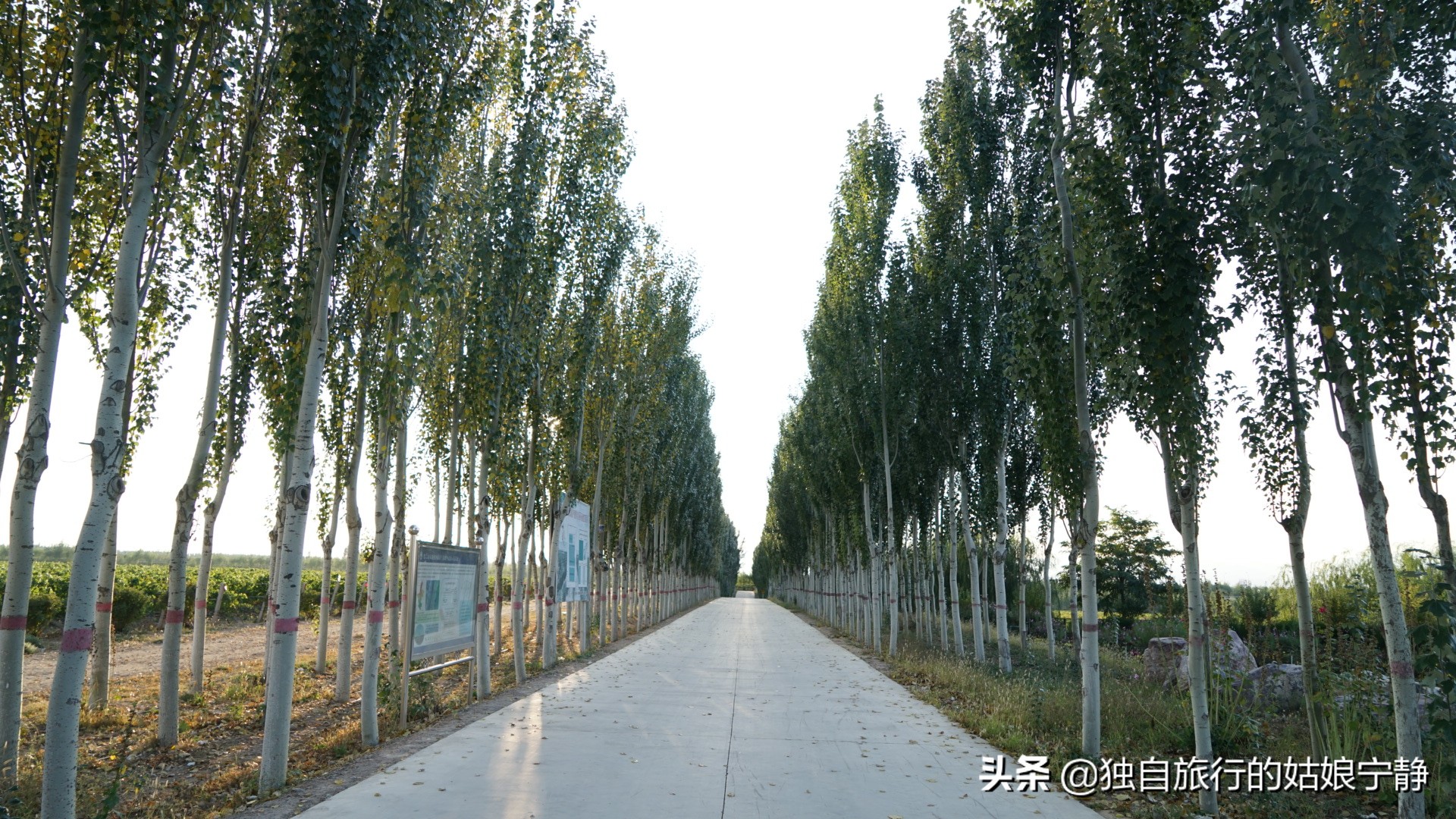 宁夏酒庄参观推荐,宁夏葡萄酒排行榜前十名酒庄