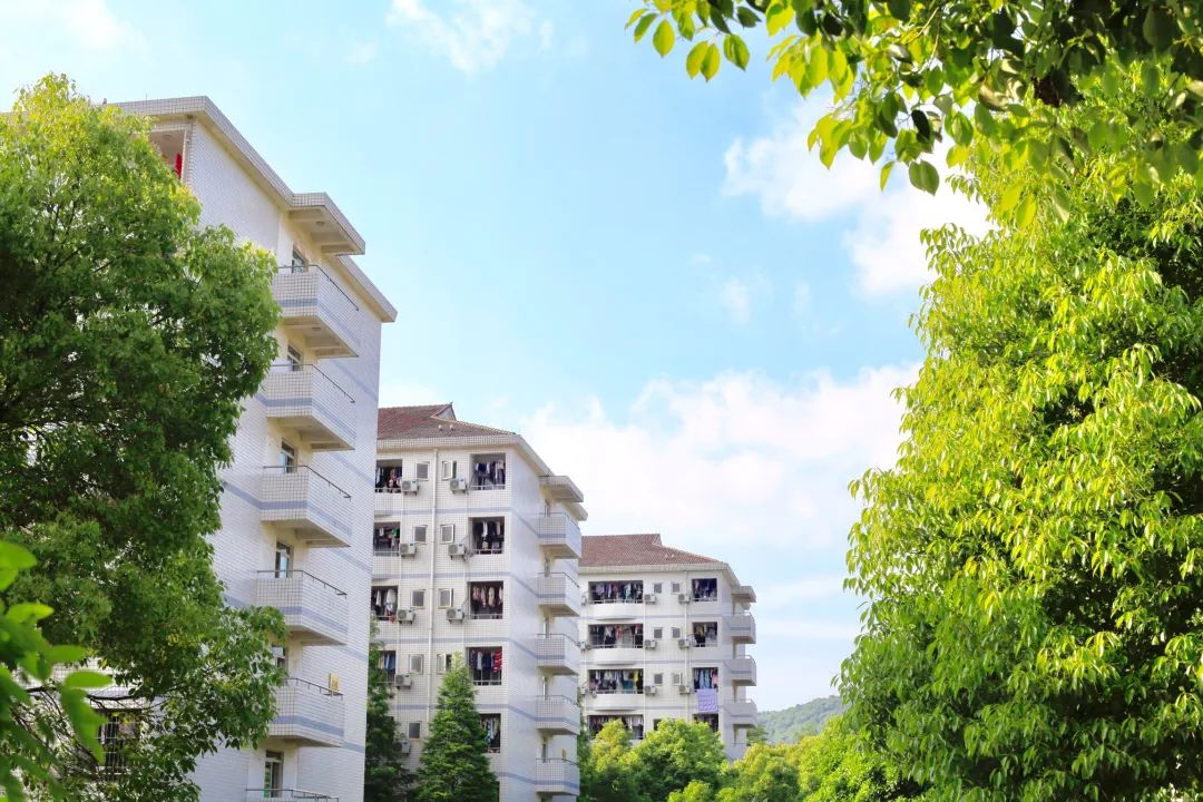 高考中南大学,高考结束来看看学生们的分数