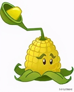 吃了坏玉米会中毒吗,玉米坏了有什么危害