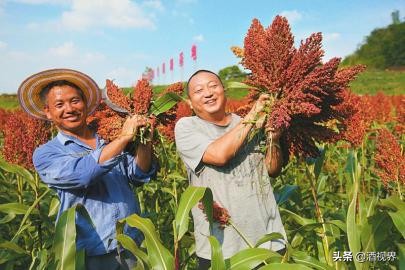 五粮液股份2023前三季度营收,2023年五粮液集团营收