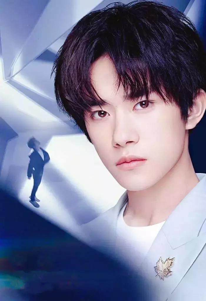 lv华为壳,lv华为折叠手机壳