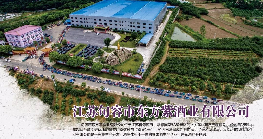 桑椹酒哪的产地最好最正宗,东方紫甜桑葚