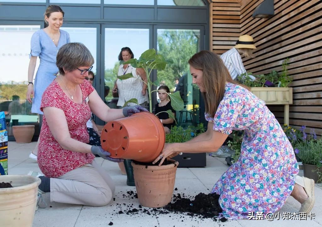 邓文迪的600亿身价,邓文迪最新直播