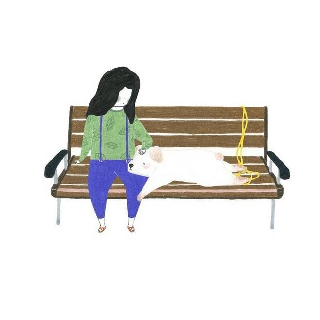 狗狗冷知识大合集视频,狗狗冷知识狗粮