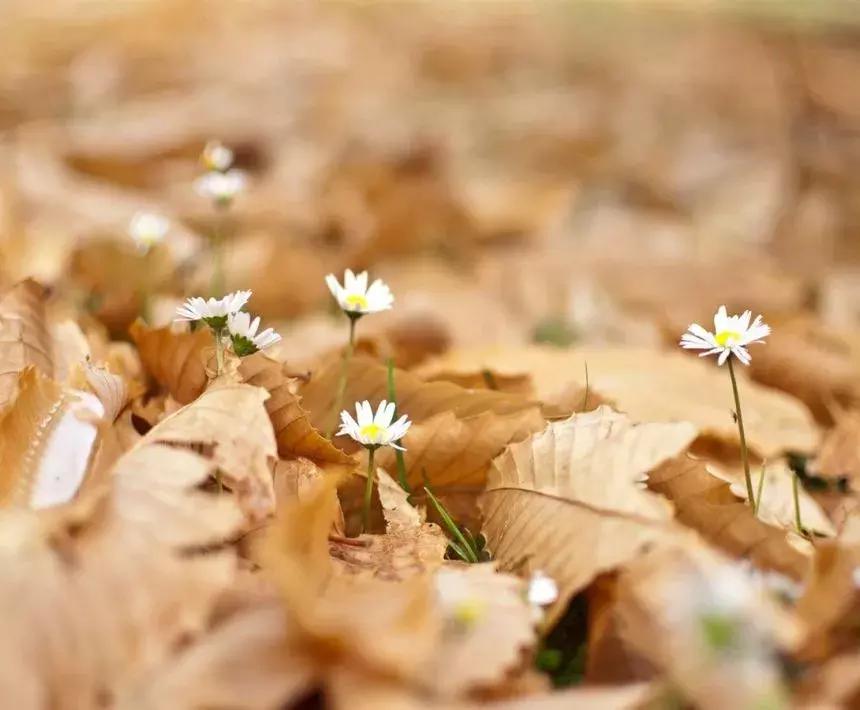 尊严教育,对孩子的教育是人生最大的回报
