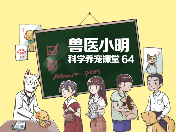 犬细小病毒死亡率百分之几,成年犬感染细小好治愈吗