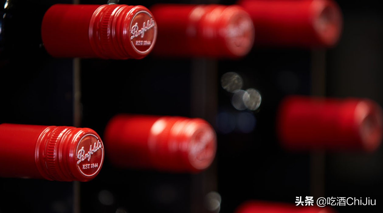 奔富407红酒属高端吗,奔富407红酒商标为什么会皱