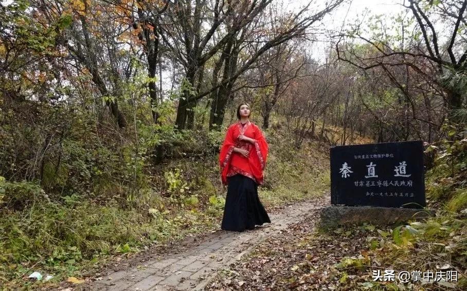 庆阳是哪个省的城市,庆阳市是怎样一个城市