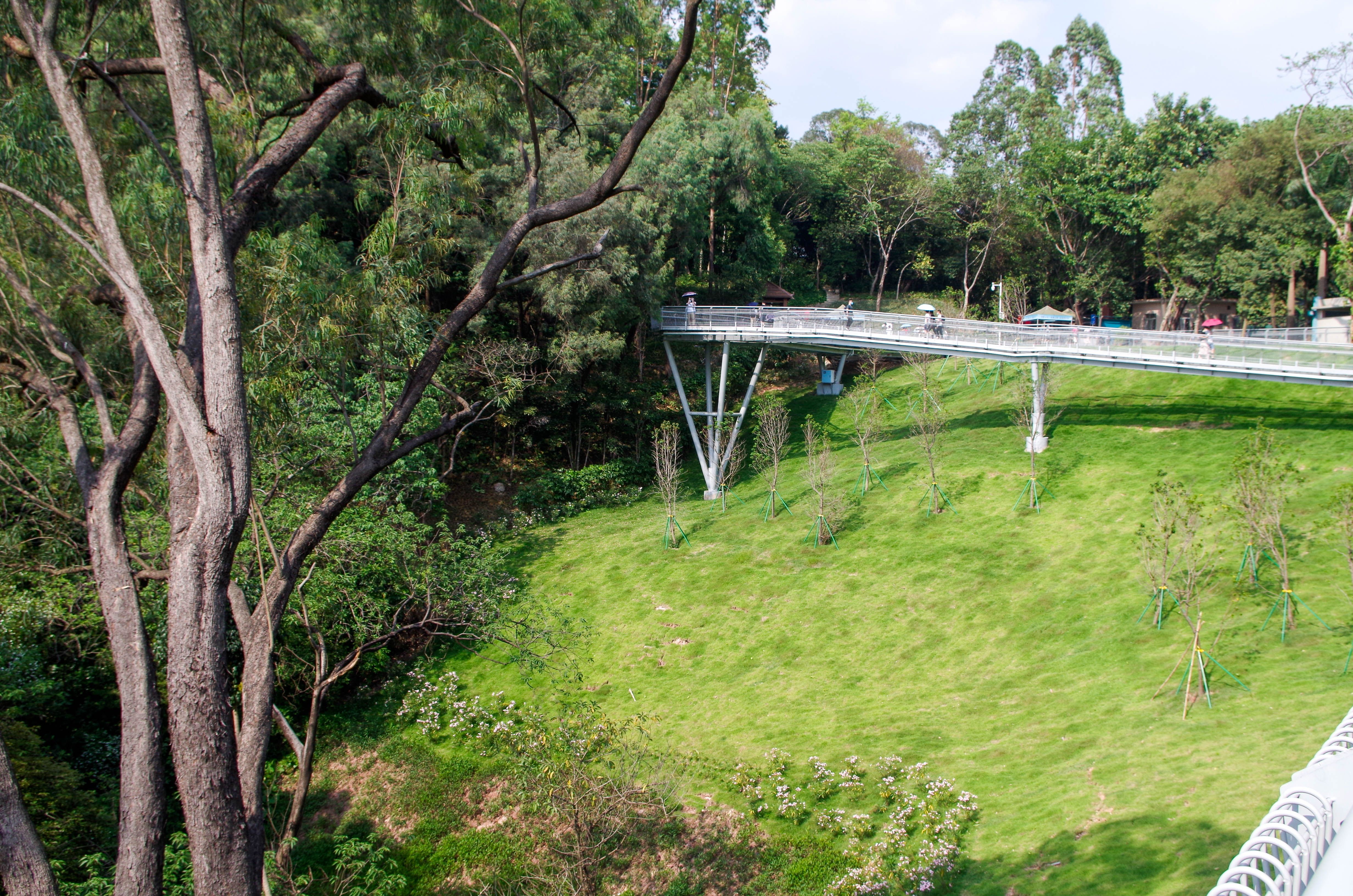 广州云道线路图高清版大图,广州云道旅游装备推荐