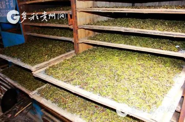 若你向往世外桃源，这个双旦来黔东南绝不后悔