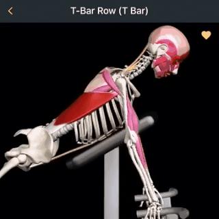 单划船练背的动作,划船式练背的正确锻炼方法