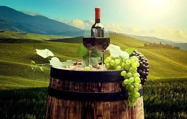 北海道葡萄酒兑什么好喝,北海道葡萄酒