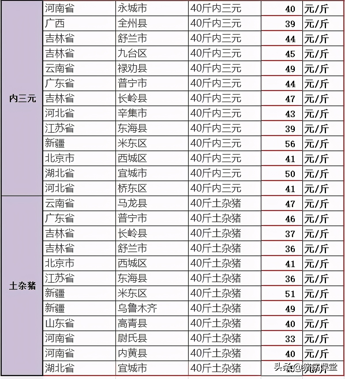 仔猪隐睾手术操作要多少钱,仔猪漏肠手术费用