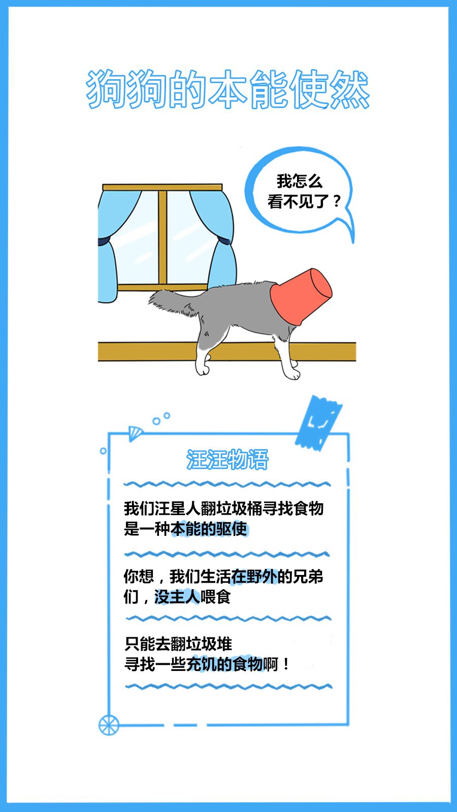 满月狗狗爱翻垃圾桶屡教不改,盘点狗狗冷得发抖