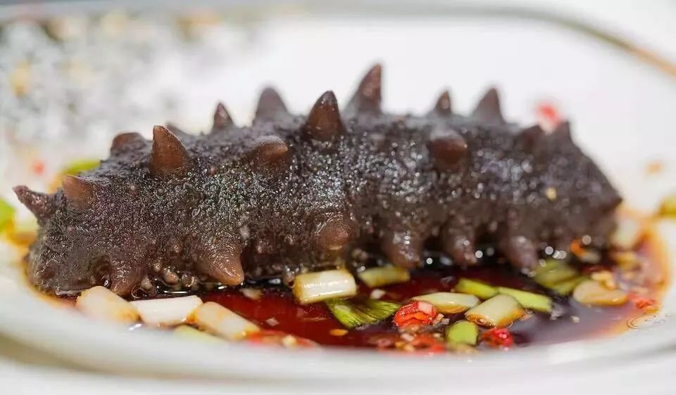 最新海参泡发教程,最有效的海参泡发方法视频教程