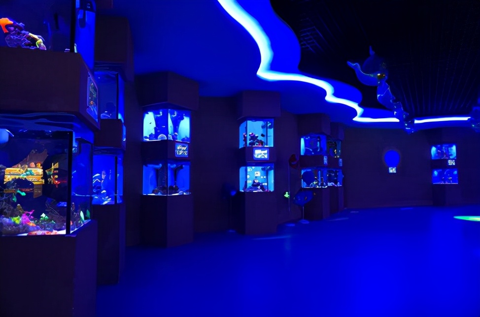 去不了海就去海洋馆,去不了大海就去海底世界