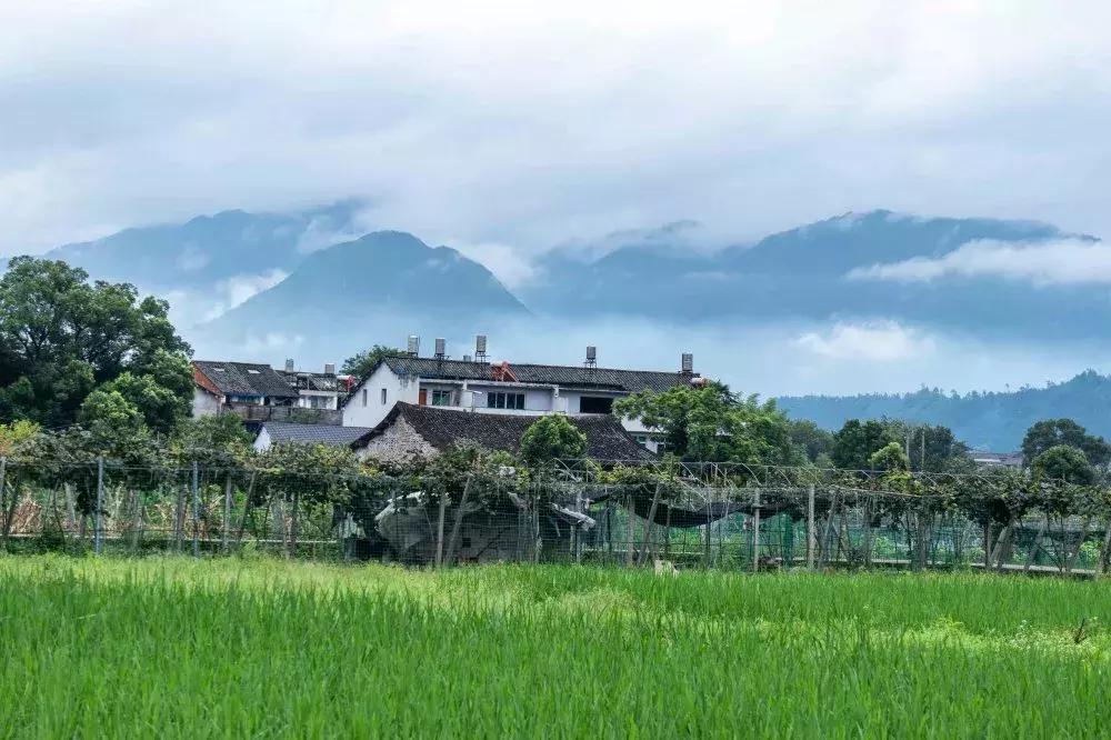 桂林楠溪温馨主题民宿,西昌市楠溪客栈民宿