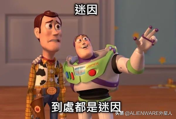 来自“MEME”的欢乐“洗礼”