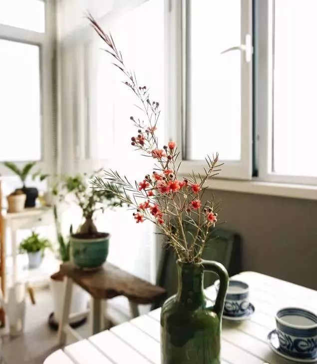 插花花材的固定技巧,三种花材插花教程新手入门