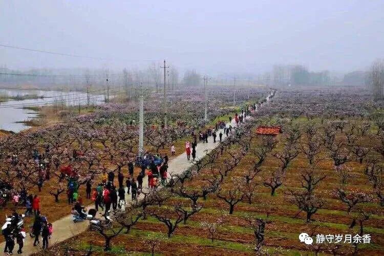 麻城有哪些风景名胜,麻城新八景