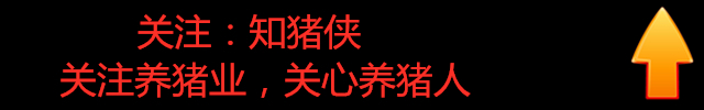 猪场预防传染病的有效措施,猪场有猪病死了怎样正确进行消毒