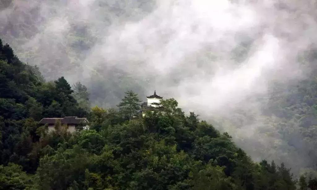 陕西省哪些市发展好,陕西各个县发展排名