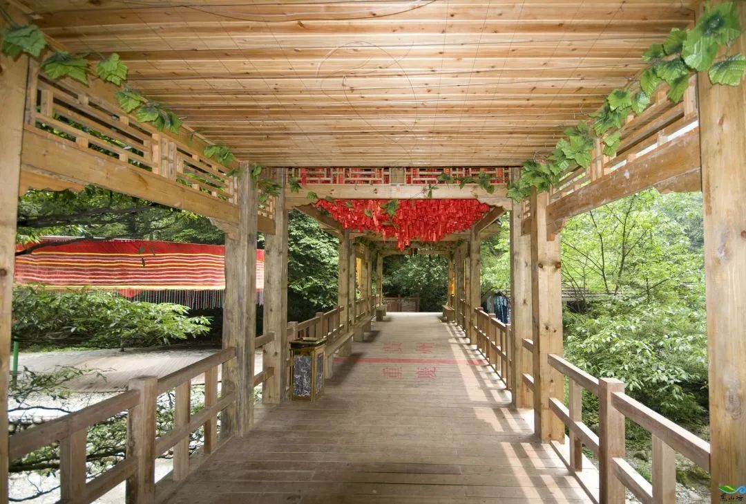 重庆避暑黑山谷,重庆万盛黑山谷生态旅游区