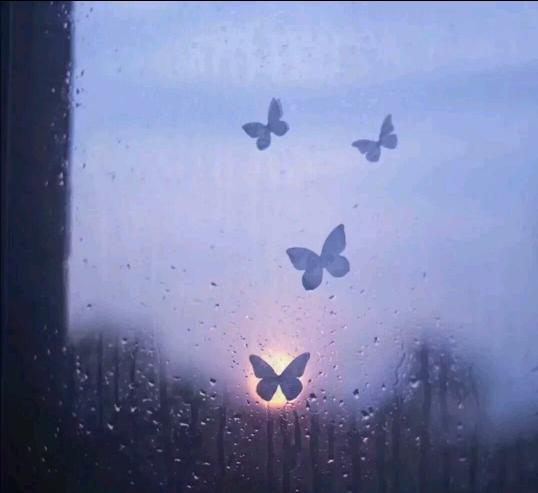 许三观卖血记全文,许三观卖血记全书精简书评