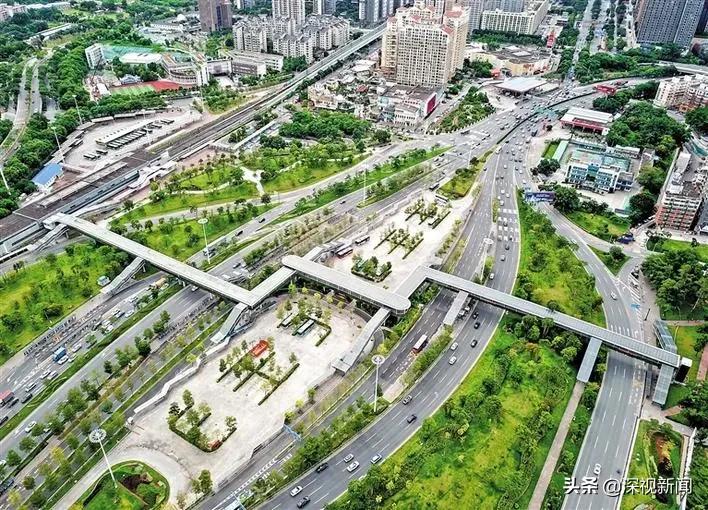 续写春天的故事,续写春天里的故事系列访谈