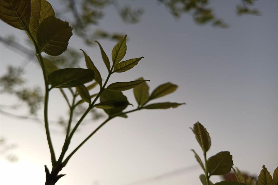 哆啦a梦大雄跟小哆啦抢年糕吃,朵拉与大雄全集免费观看完整版