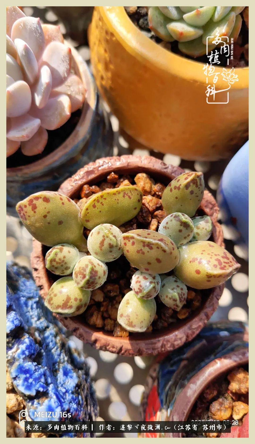 秋尽冬来岁月不居时节如流,岁月不居时节如流水