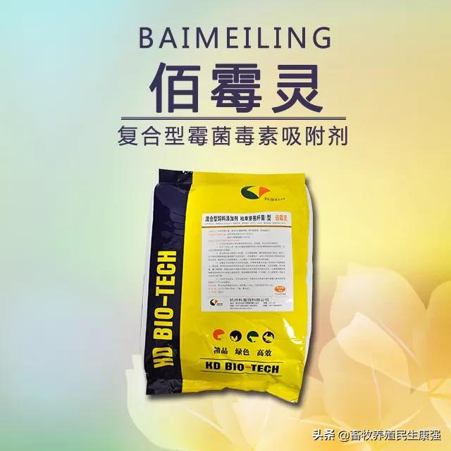 关于牛羊养殖出现问题,牛羊生产与疾病防治