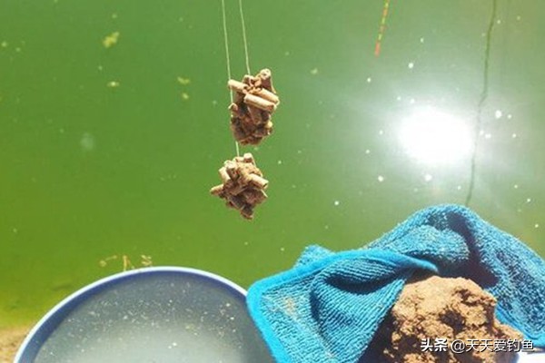 原塘颗粒怎么用好能钓好鱼,原塘颗粒钓鲤鱼效果