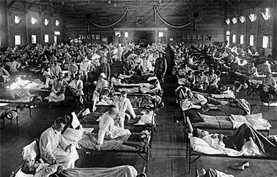 马斯克15年内培育出恐龙,埃隆马斯克复活恐龙计划