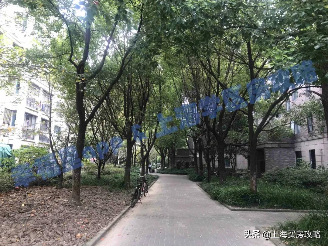 一梯队名校，400万即可上车，福外证大小学评测