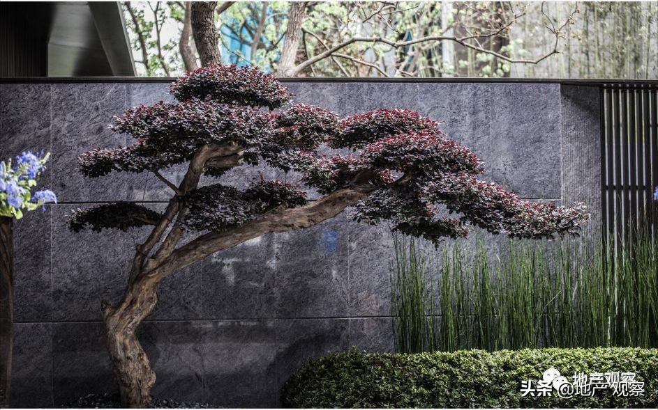 房产经济策略,楼市回暖该如何选择产品