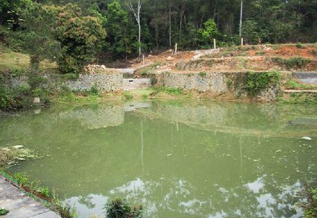 实体店的拓客引流方法,实体店最省钱的拓客方法