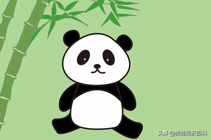 熊猫怎么画最简单儿童,熊猫怎么画儿童3-6岁